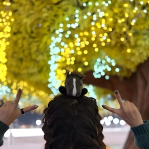 大井競馬場のイルミ✨だよおお。