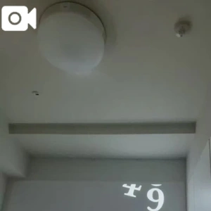 ꒰ঌ2月24日໒꒱