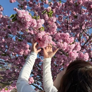 開花🌸が今年は早いんだね( ˊᗜˋ)