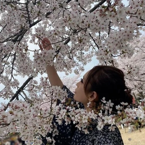 桜🌸満開なのにずっと雨マーク