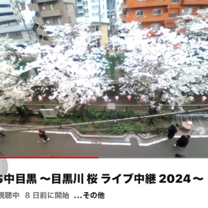 ルイを探せ👋（ウォーリーを探せ的な😂👍）