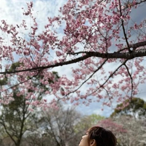 毎日桜のニュースやってるから😇