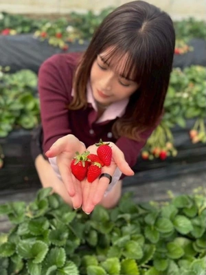 いちご狩り🍓は、忙しい(´・Д・)」