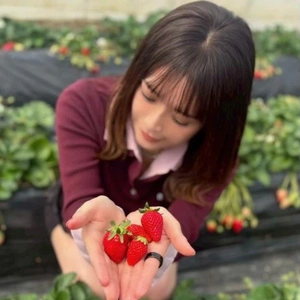 いちご狩り🍓は、忙しい(´･Д･)｣
