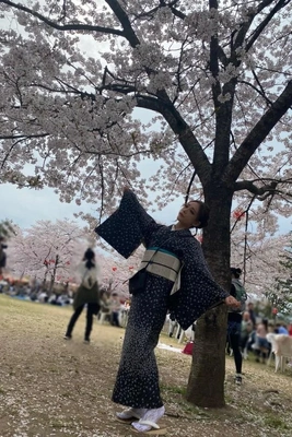 桜🌸はいつまで見頃かな??