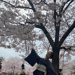 桜🌸はいつまで見頃かな？？