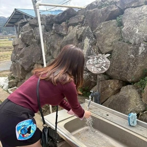 『だっぺ』が、茨城県の方言なのかな？仙台は『だっちゃ』