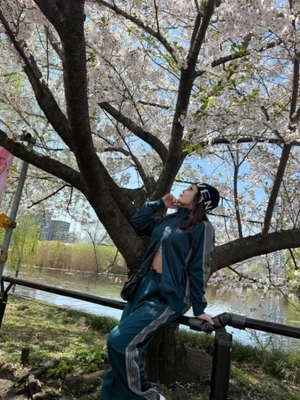 葉桜は、葉桜で綺麗でしょう😇🍀