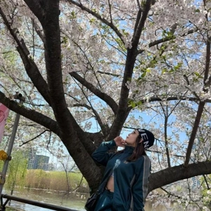 葉桜は、葉桜で綺麗でしょう😇🍀