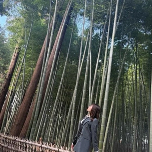 今日も暖かくなる..みたい😇