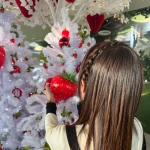 今日から三日間のおひるごはん。🍚