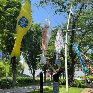 こいのぼりの季節🌸🌻
