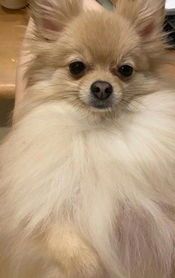 昨日は…♡