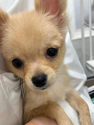 見事なリバウンド😭