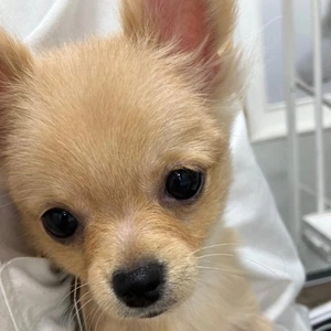 見事なリバウンド😭