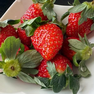 朝ごはんに🍓