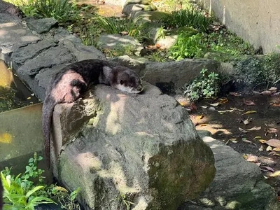 お礼🧸💌💭