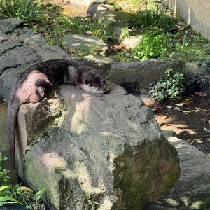 お礼🧸💌💭