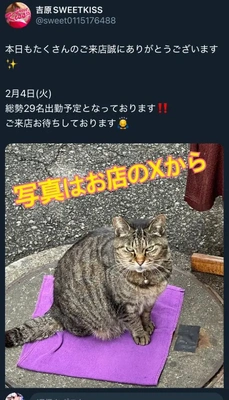 このお店の看板お猫さま🐱💖