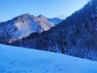 新潟の手前☃️