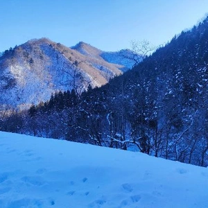 新潟の手前☃️