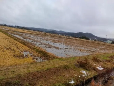 新潟/☔