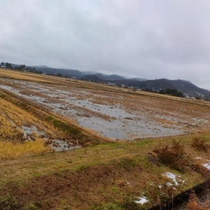 新潟/☔