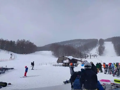 スキー⛷️