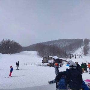 スキー⛷️