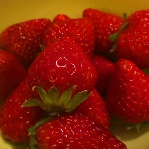 いちご🍓