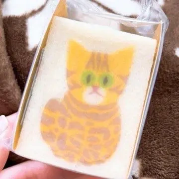 🈵枠ありがとうございます🌸