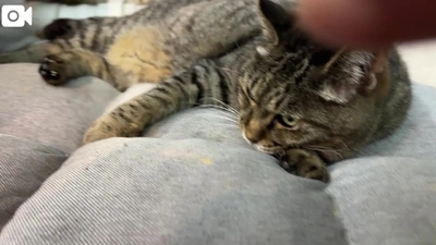 寂しいよ、、、