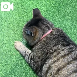 ご予約ありがとうございます😭