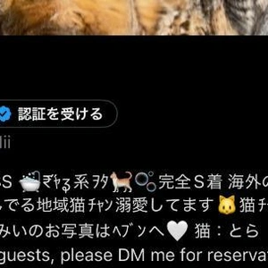 予約お問い合わせ☝🏻🎀