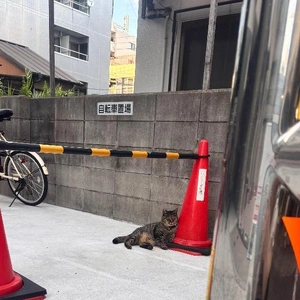 最近ずっと満枠ありがとう😭