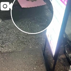 吉〇のアイドル