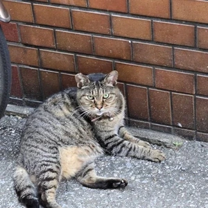 それはＮＯです❌