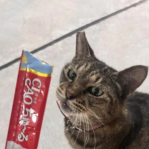 お礼が掛けてなくてごめんなさい😭