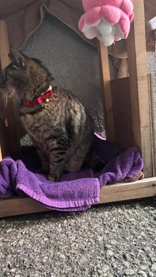 とうとう嫌われました😢