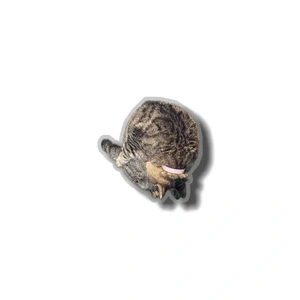 怪しいけど、仕組み知りたい…