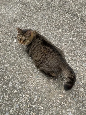 三連休