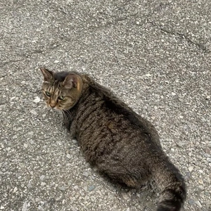 三連休