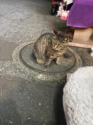 ありがとうございました