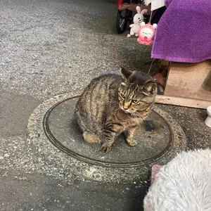 ありがとうございました