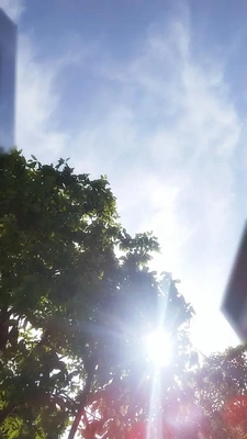 6月