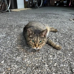 お盆期間のシフト