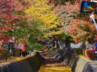 出勤予定　※再掲