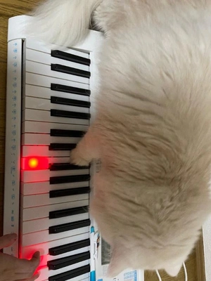 出勤のお知らせ