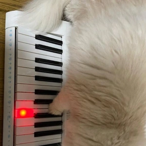 出勤のお知らせ