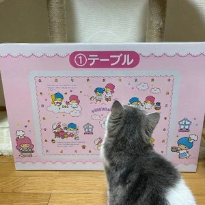 断捨離／愚痴あり注意🙇